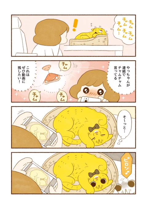 「シャッターチャンス」

基本は数十枚連写して後で厳選するようにしてます📸 
