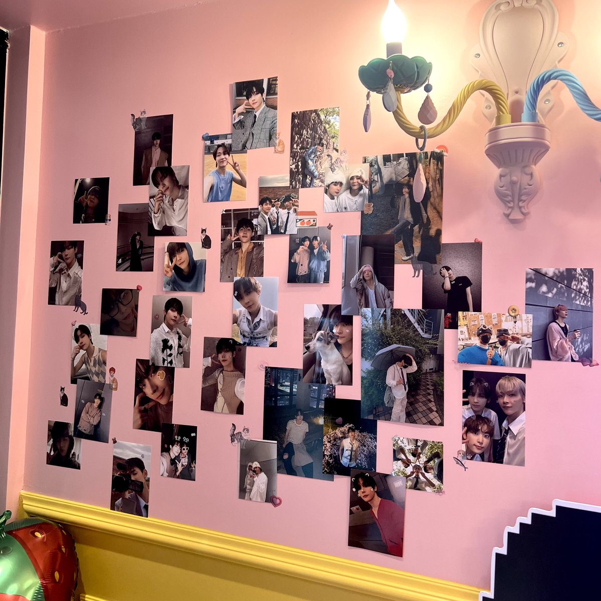 블랙 그리고 핑크가 잘 어울리는 고양이 생일파티에 다녀왔어요!

#왕이샹_생일_왕왕_축하해
#my_dearest_internet_boy