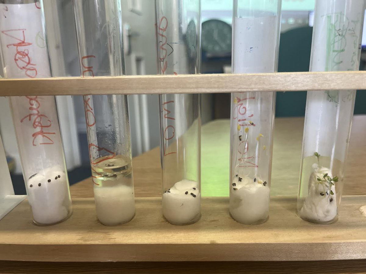 Moat House School & Nursery tweet media