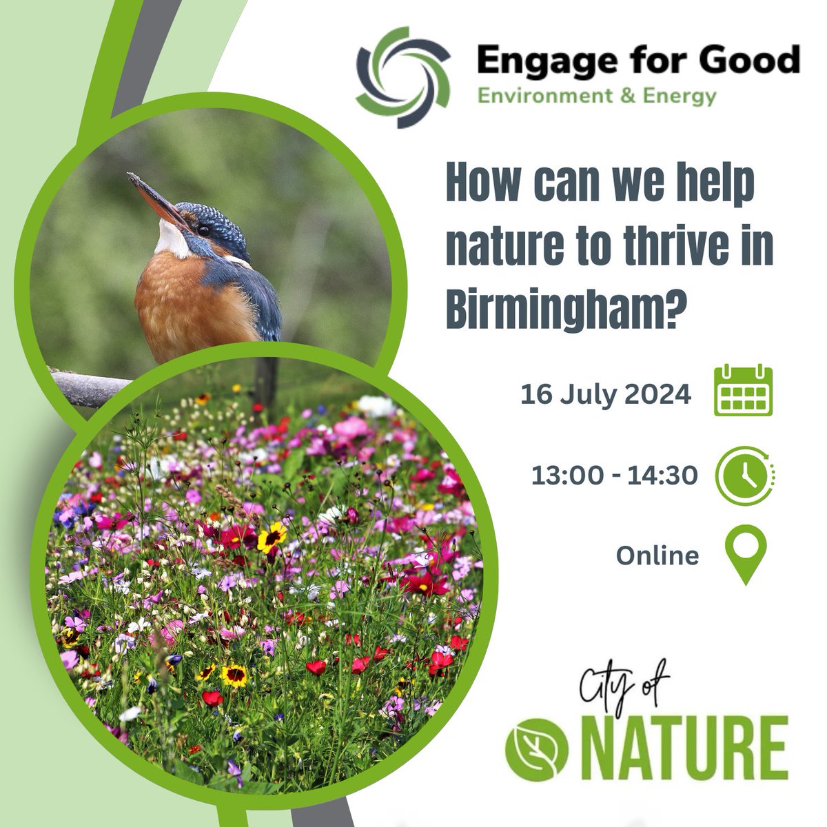 BVSC's tweet photo. How can we help nature to thrive in Birmingham? Join our next #EngageforGood #Environment and #Energy Network on 16 July, 1-2.30 pm. We'll be joined by Debbie Needle, Community Facilitator from Naturally Birmingham. Don't miss this inspiring discussion! https://t.co/CwMBTv9AF7 https://t.co/QNUlSSb0oo