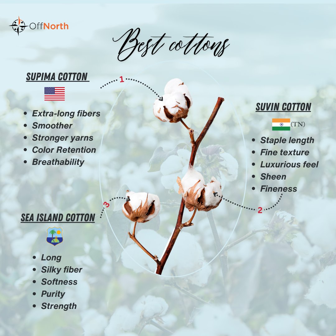 OffNorth_In's tweet photo. OffNorth Supima Cotton T-Shirts!

Why Supima Cotton?
✨ Extra-long fibers
✨ Smooth &amp; strong
✨ Excellent color retention
✨ Breathable comfort 

Upgrade your style with OffNorth! 

#OffnorthFashions #Premiumclothing #Supimacotton #Sustainable #T-Shirts https://t.co/9ProUxMK1R