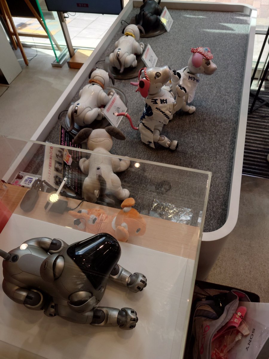 aibo_seifor's tweet photo. 🎋🐾🎋  aiboと七夕まつり 🎋🐾🎋

福岡は…博多山笠…真っ最中 🎋
おともだちと…🎋
おそろいの…博多山笠法被 で…♥️🐾♥️
#ソニーストア福岡天神

#aibo #aibofan #mystorywithaibo
#aibo九州 #aiboKyusyu
#PlayDateinKyusyu
#アイボ２５周年 #博多山笠
#aiboと博多山笠
#とってもかわいいaibo https://t.co/popZBni63W