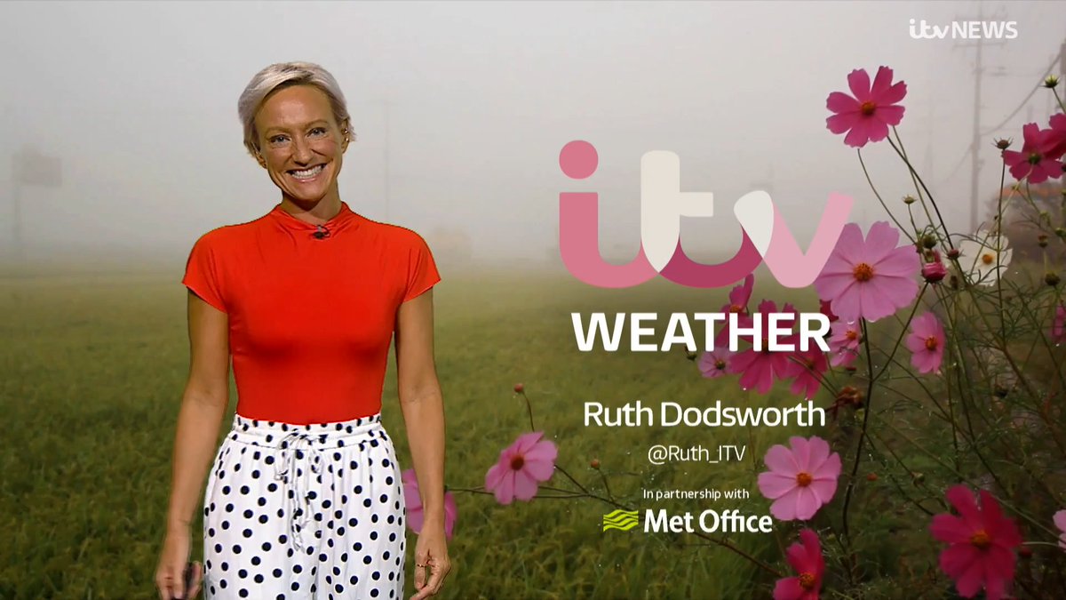 Ruth_TV tweet media