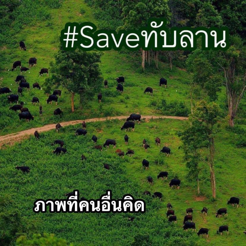 ThaiDelphiOoi's tweet photo. 📌ประกาศแนวเขตอุทยาน ปี 2524
สูสิมา #Saveทับลาน หยังก่อนคะ‼️
ปู่ย่าตายายกูมาอยู่ก่อนสิประกาศเป็นอุทยานพุ่น
อย่ามาโลกสวยค่ะ ภาพที่สูคิดกับภาพความเป็นจริงมันแตกต่างกันอย่างสิ้นเชิงค่ะ
#คืนพื้นที่ให้ประชาชน #กูเห็นด้วยค่ะ✅
Cr.มิตร https://t.co/9Tzn9MByqU