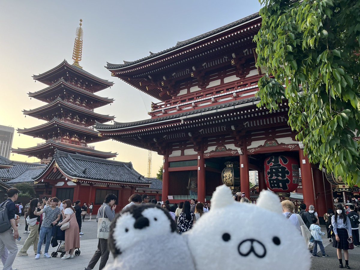 penginrascal's tweet photo. @mojimojiji もじじ先生ありがとうございます！
とてもかわいいです！
ぺんちゃんねこくんのかわいいスタンプ感謝です！
もじじ先生、お忙しい中大変だと思いますが、お体には気をつけてお過ごしください！

ぺんちゃんねこくんと浅草にいき
もじじ先生の健康をお祈りしました！ https://t.co/PyfR4hZjZ1
