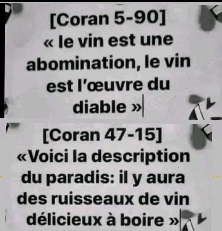 Ad_Vitam44_'s tweet image. ▪️Dissonance cognitive ?