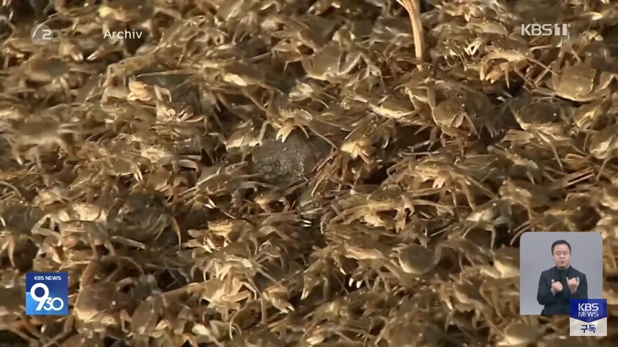 HenryKim957167's tweet image. 코리안의 도움이 절실히 필요할것 같은 독일 근황