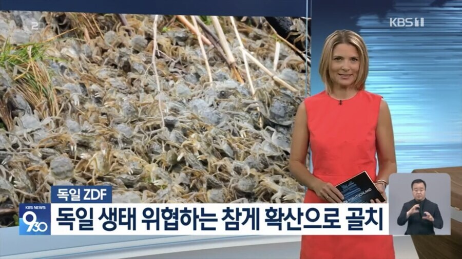 HenryKim957167's tweet image. 코리안의 도움이 절실히 필요할것 같은 독일 근황