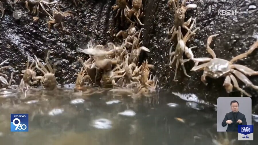 HenryKim957167's tweet image. 코리안의 도움이 절실히 필요할것 같은 독일 근황