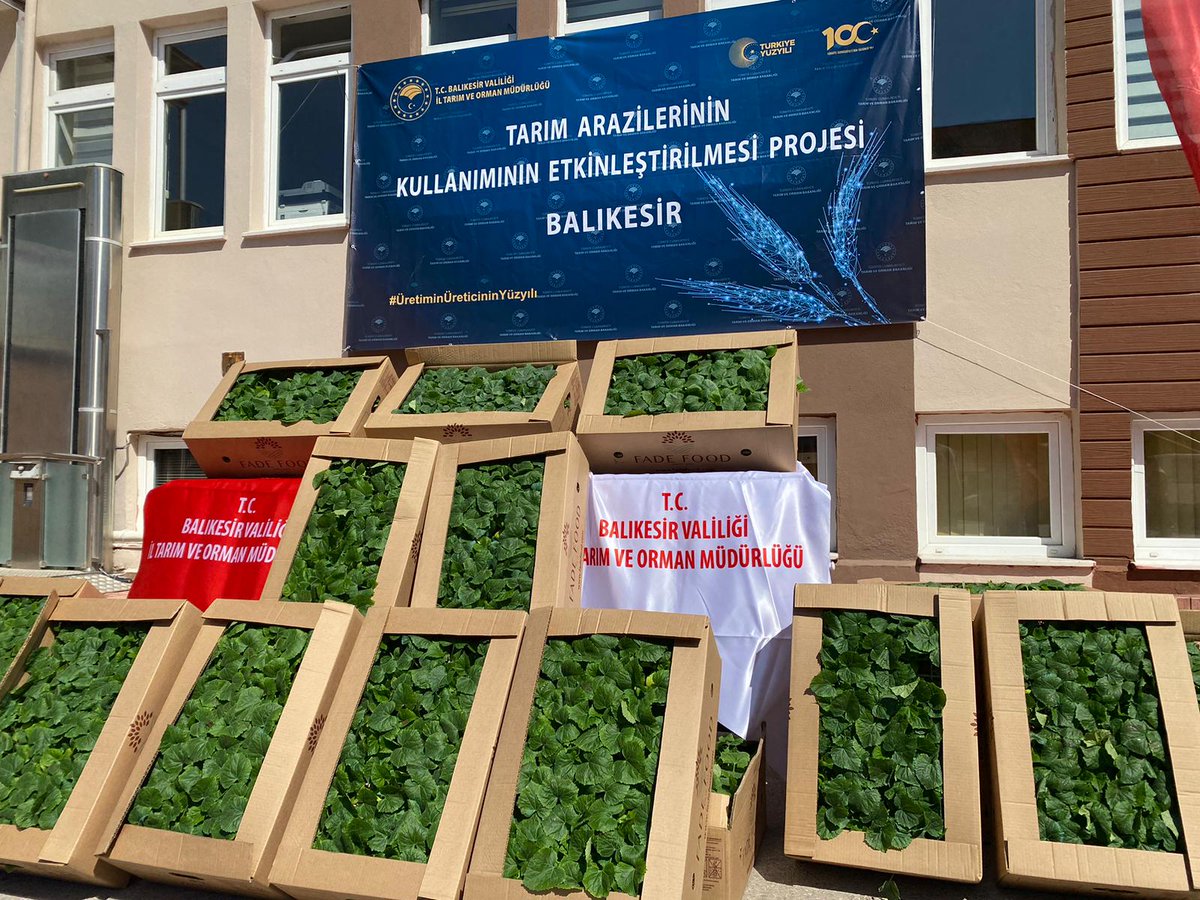 balikesirtarim's tweet photo. 📍Balıkesir İl Tarım ve Orman Müdürlüğü
Tarım Arazilerinin Kullanımının Etkinleştirilmesi Projesi Kapsamında #Sebze #Fidesi Temini Programı Düzenlendi.
https://t.co/9v2XPNL96z
@TCTarim @ibrahimyumakli @TC_Balikesir @valiustaoglu https://t.co/7Pltn9r4lq