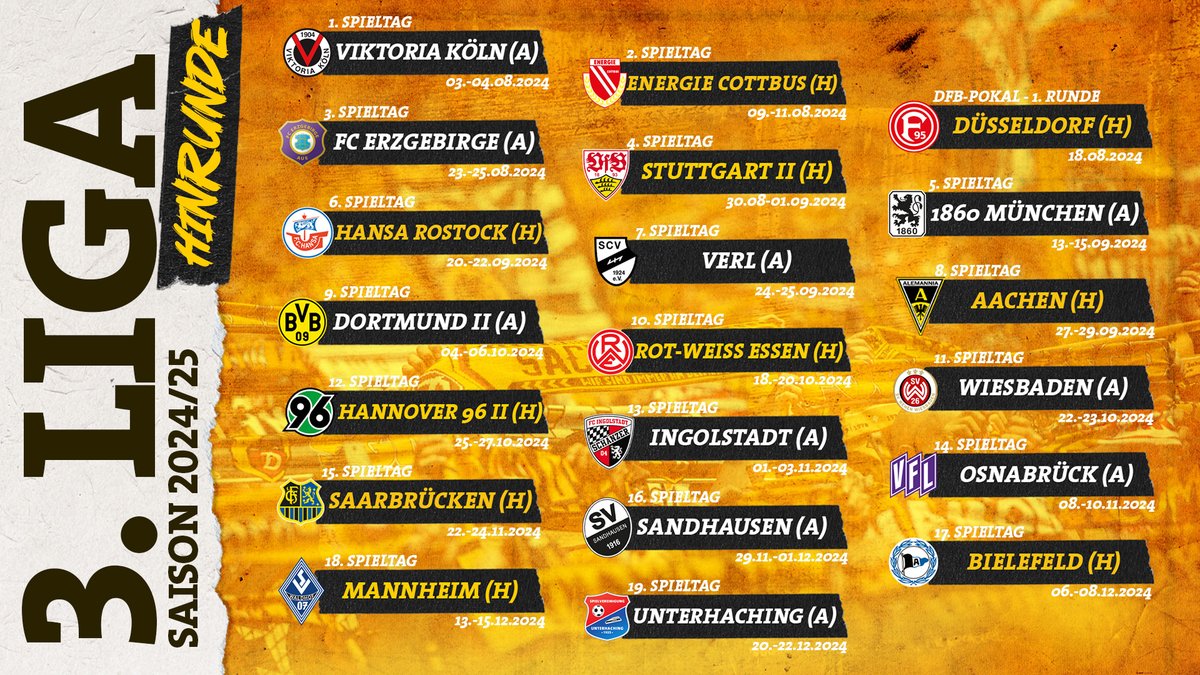 SG Dynamo Dresden tweet media