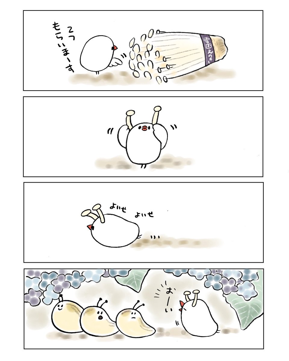 なめくじと仲良くなりたいぶんちょ 