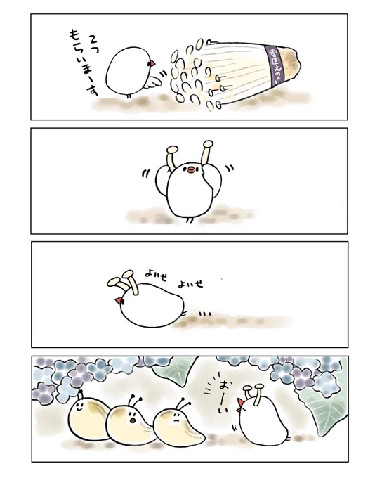 なめくじと仲良くなりたいぶんちょ 
