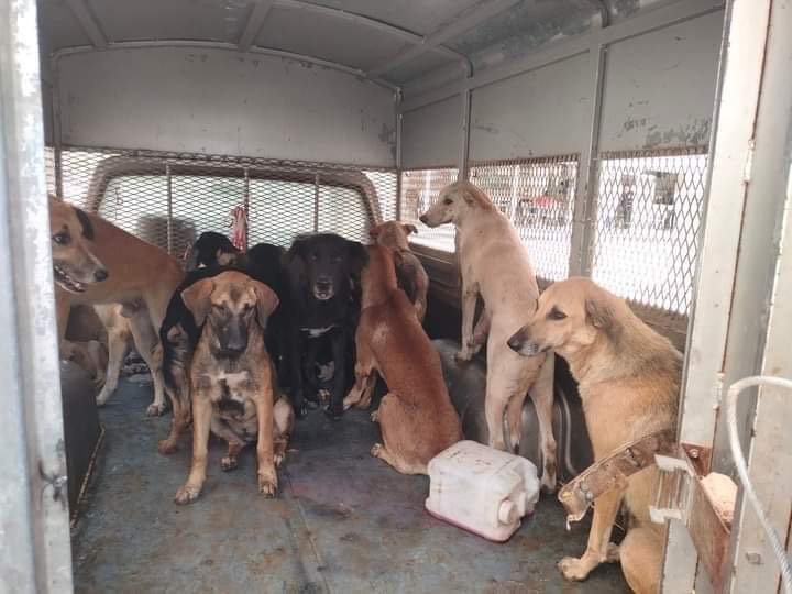 Fondation Brigitte Bardot tweet media