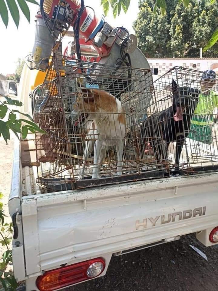 Fondation Brigitte Bardot tweet media