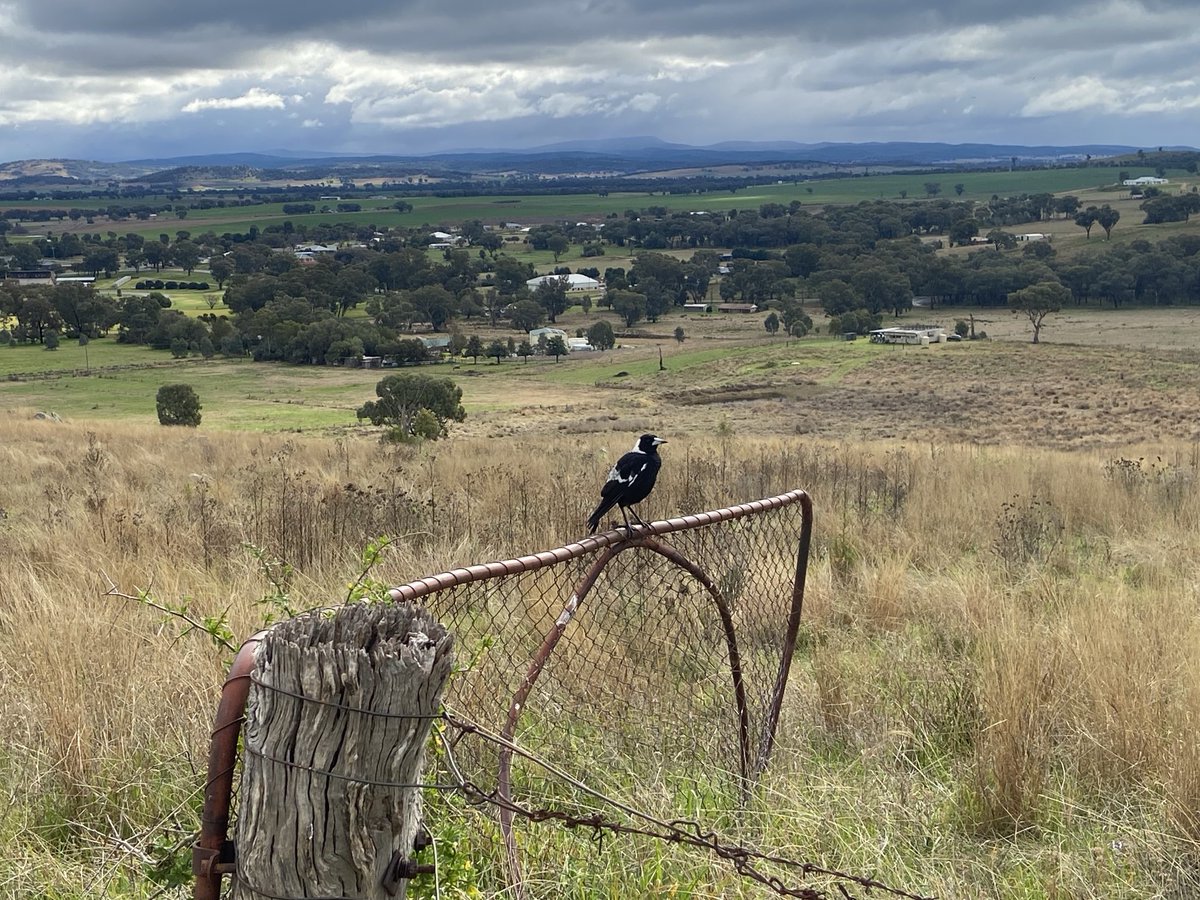 John Skinner tweet media