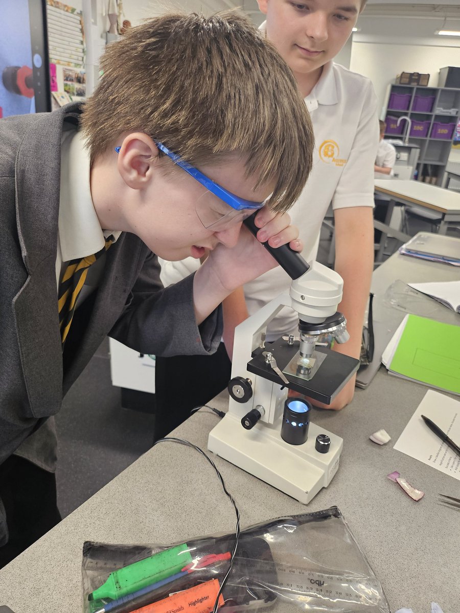 Aureus School Science Department tweet media