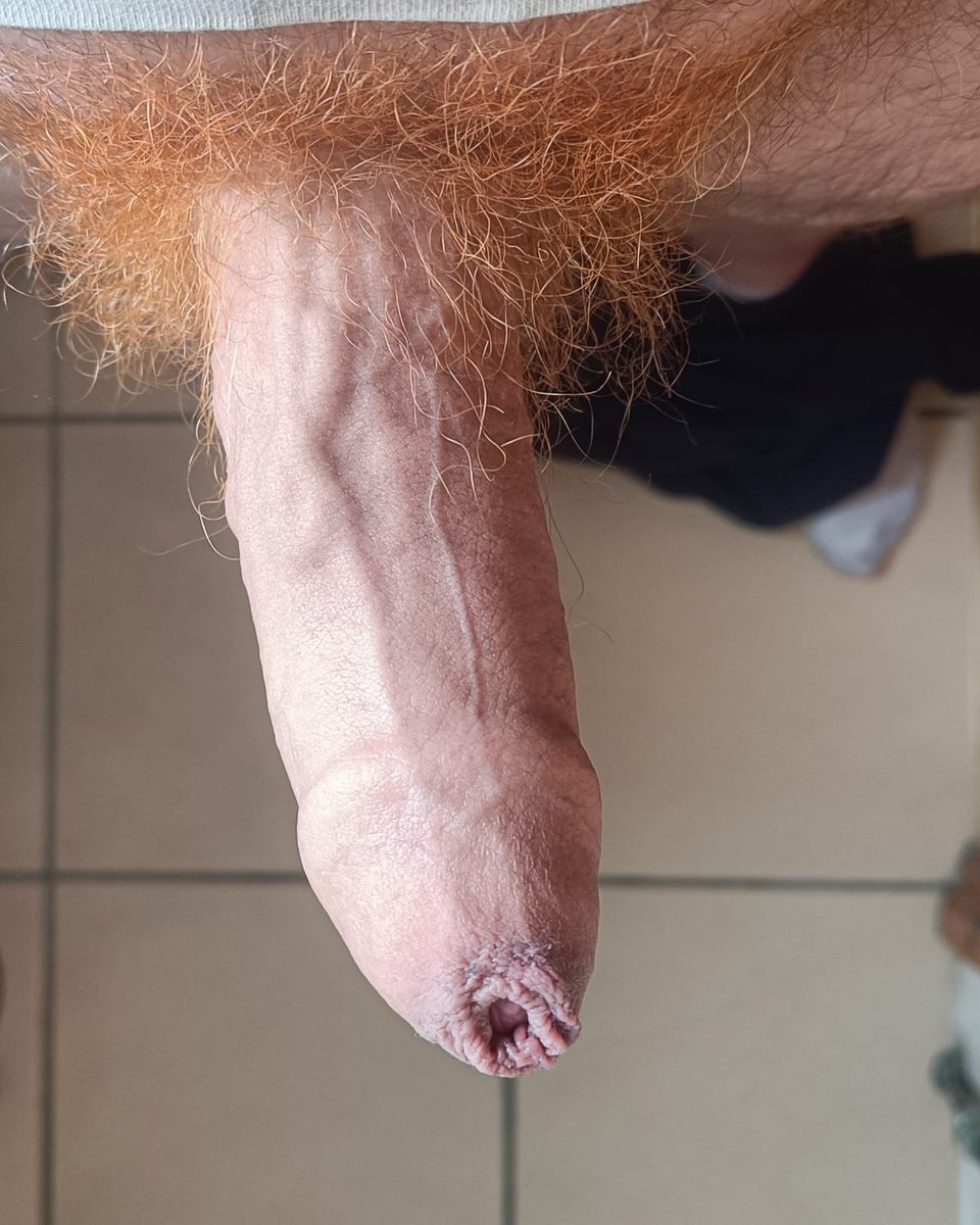 BarebackGinger's tweet photo. I need to get bred again soon. Any offers?

#bareback #bottom #ginger #cuminside #rawislaw https://t.co/ElLsQVPl9K