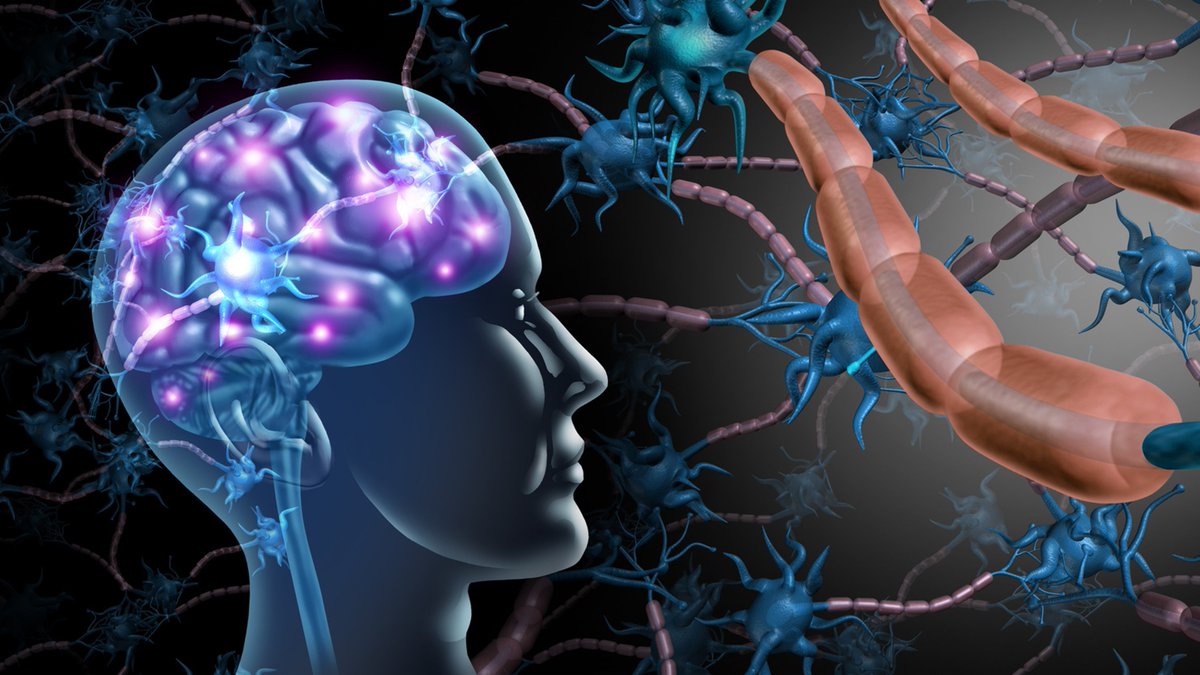 RCSI School of Physiotherapy (@rcsi_physio) on Twitter photo New Micro-cred courses on offer with RCSI's School of Physiotherapy starting this September 2024
#neuroscience and many more! Check them out and Register your interest now
rcsi.com/dublin/about/f…
<a href="/CORUIreland/">CORU Ireland</a> <a href="/_ISCP_/">ISCP</a> <a href="/RCSI_Irl/">RCSI</a> <a href="/ARTIIreland/">Athletic Rehabilitation Therapy Ireland</a> <a href="/FSEM_IRL/">Faculty of SEM</a> <a href="/NMBI_ie/">Nursing and Midwifery Board of Ireland</a> @RCSI_Alumni New Micro-cred courses on offer with RCSI's School of Physiotherapy starting this September 2024
#neuroscience and many more! Check them out and Register your interest now
rcsi.com/dublin/about/f…
<a href="/CORUIreland/">CORU Ireland</a> <a href="/_ISCP_/">ISCP</a> <a href="/RCSI_Irl/">RCSI</a> <a href="/ARTIIreland/">Athletic Rehabilitation Therapy Ireland</a> <a href="/FSEM_IRL/">Faculty of SEM</a> <a href="/NMBI_ie/">Nursing and Midwifery Board of Ireland</a> @RCSI_Alumni