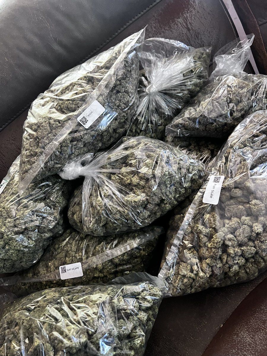 ytb_emerson's tweet photo. it’s many way to get ah bag fuck you broke for 🤣📲 https://t.co/mHW0ZrlPYP