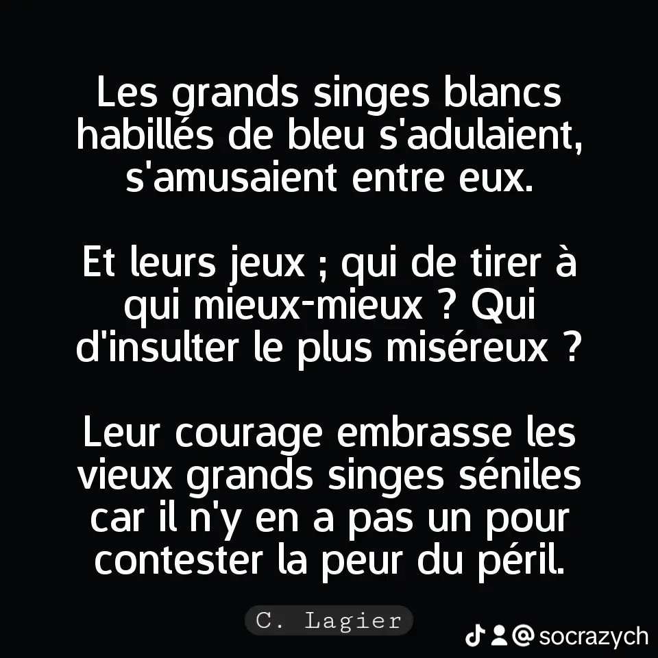 Céline Lagier (@celine_lagier_) on Twitter photo 