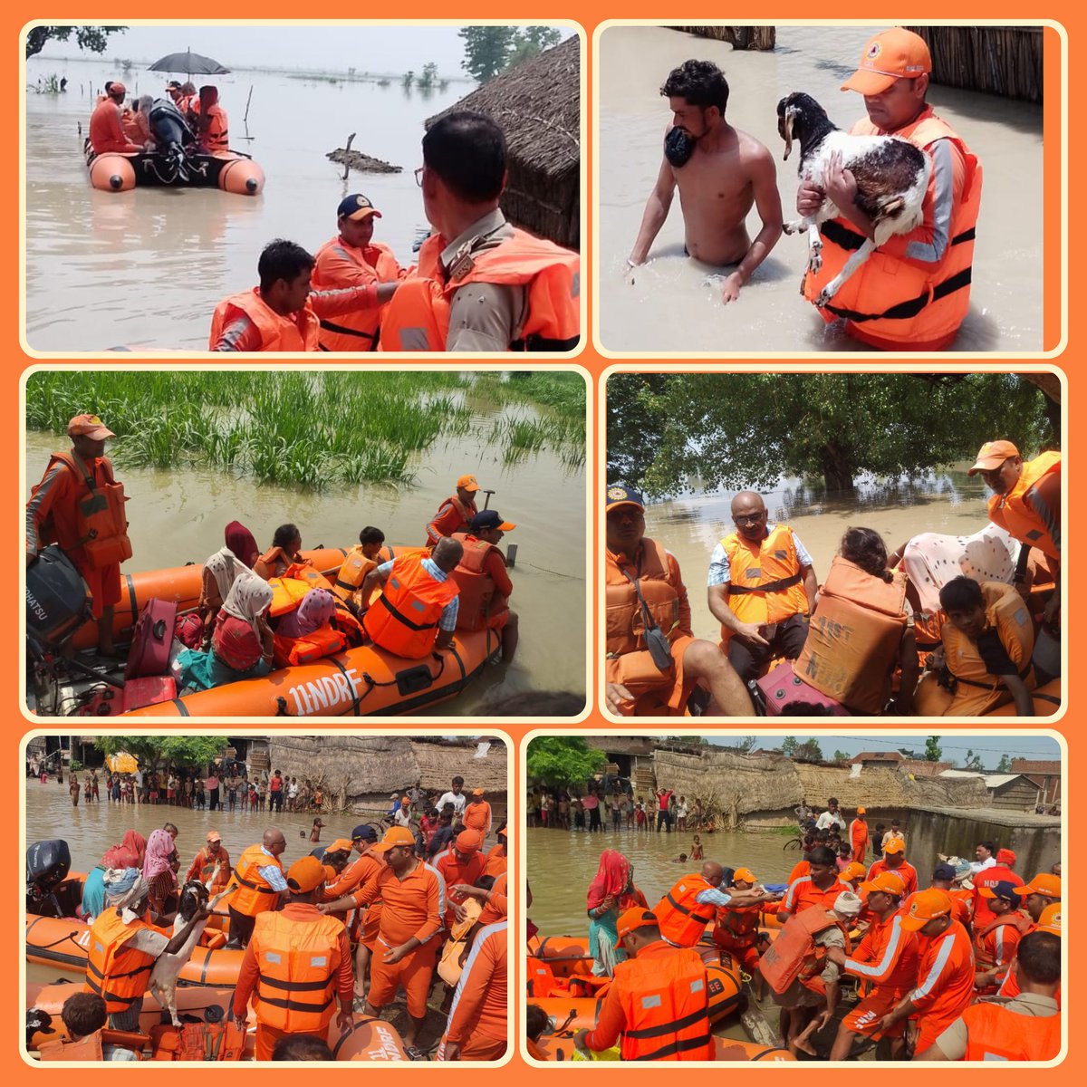 11NDRF's tweet image. @ 11 NDRF FWR OPS IN UP
# Lakhimpur Kheri.
🔸 Evacuated of marooned people.
🔸 From Murgah village tehsil Nighasan Lakhimpur kheri.
🔸 It is Surrounded by flood water.
#helpinghand 
#Committed2Serve
@NDRFHQ
@ManojKu21690089
@DmKheri
@UP_SDMA
@ANI