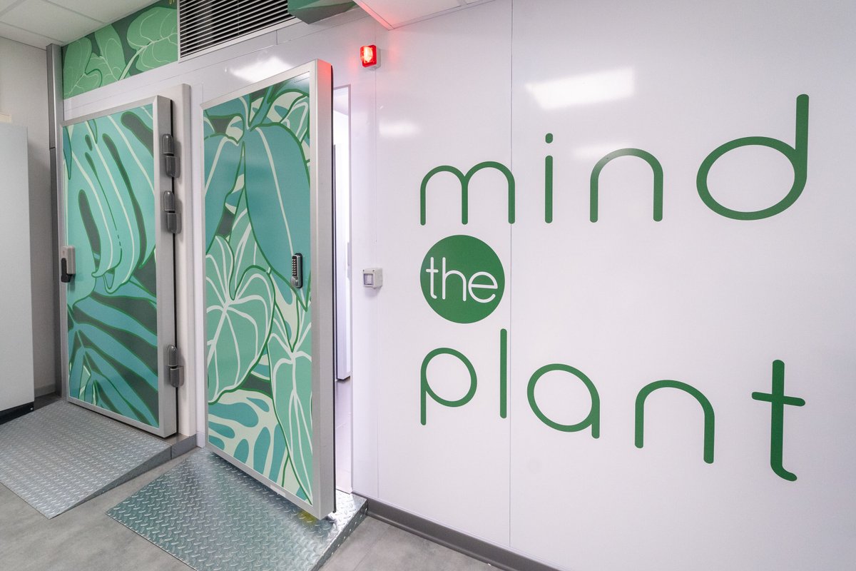 🌱 E se anche le piante fossero capaci di movimenti intenzionali?

Nasce nel nostro Ateneo il primo laboratorio specializzato nello studio di come le piante siano in grado di pianificare intenzionalmente un’azione. 

Un laboratorio unico al mondo.
> unipd.link/roomors