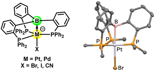 bhkenlo's tweet photo. Trigonal-Bipyramidal Pt(0) and Pd(0) Anions | Inorganic Chemistry https://t.co/W42otjwNUy Kameo, Bourissou, and co-workers @InorgChem
📢Communication📢
#platinum #palladium #zerovalence #trigonal #bipyramidal #triphosphine_borane #IBO #DFT https://t.co/7fLgRb42TE