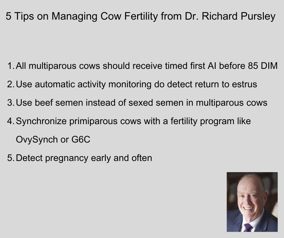 Dairy at MSU tweet media