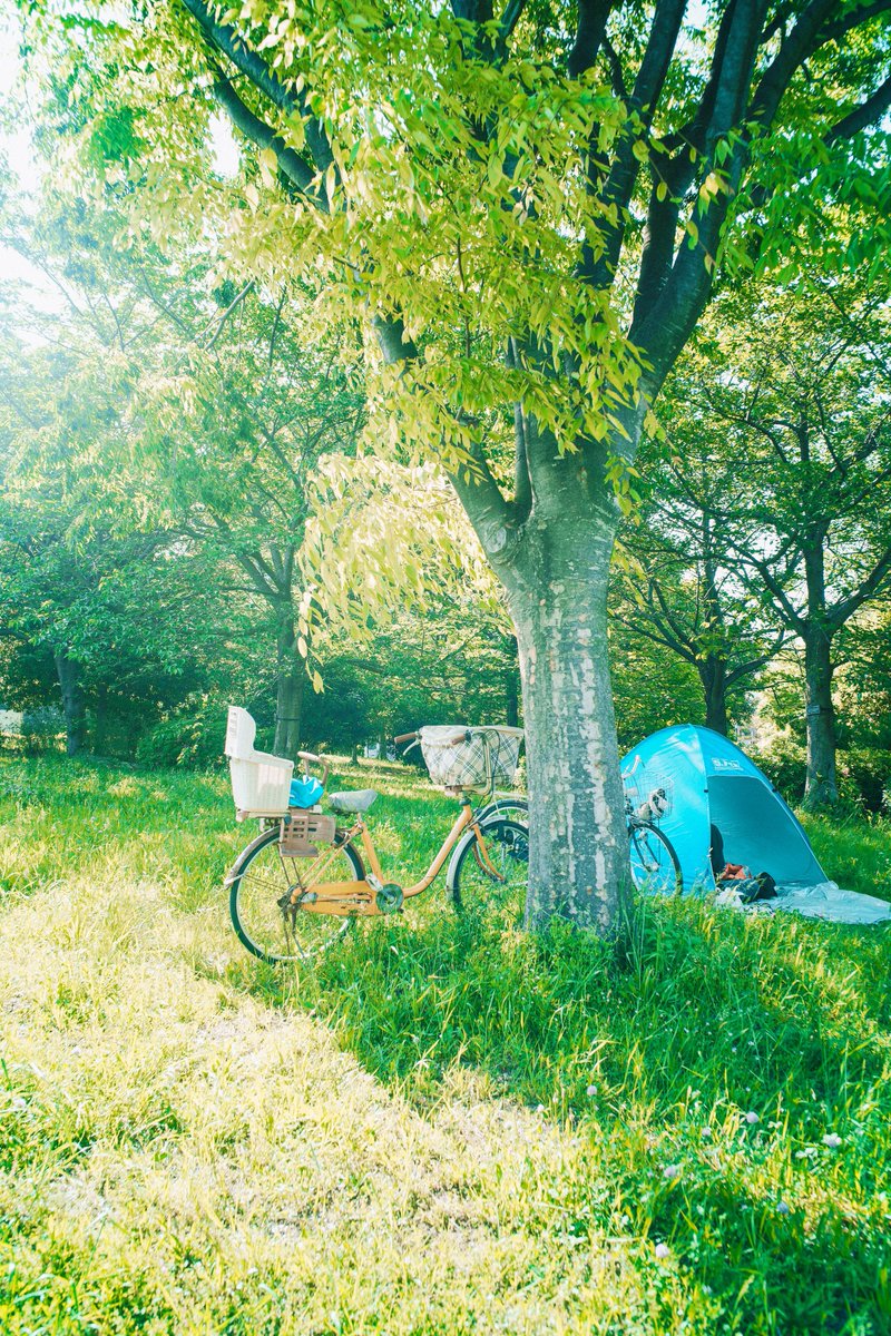 muhraufan's tweet photo. 夏が来た☀️

← The photo                          The print → https://t.co/bWUi3BTl63
