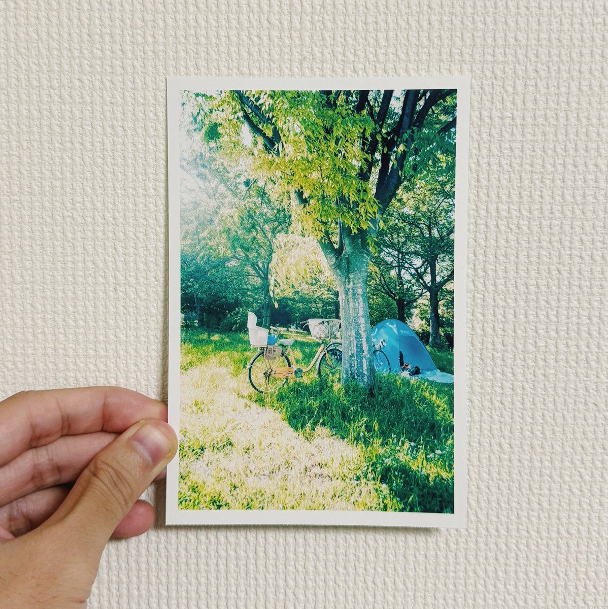 muhraufan's tweet photo. 夏が来た☀️

← The photo                          The print → https://t.co/bWUi3BTl63