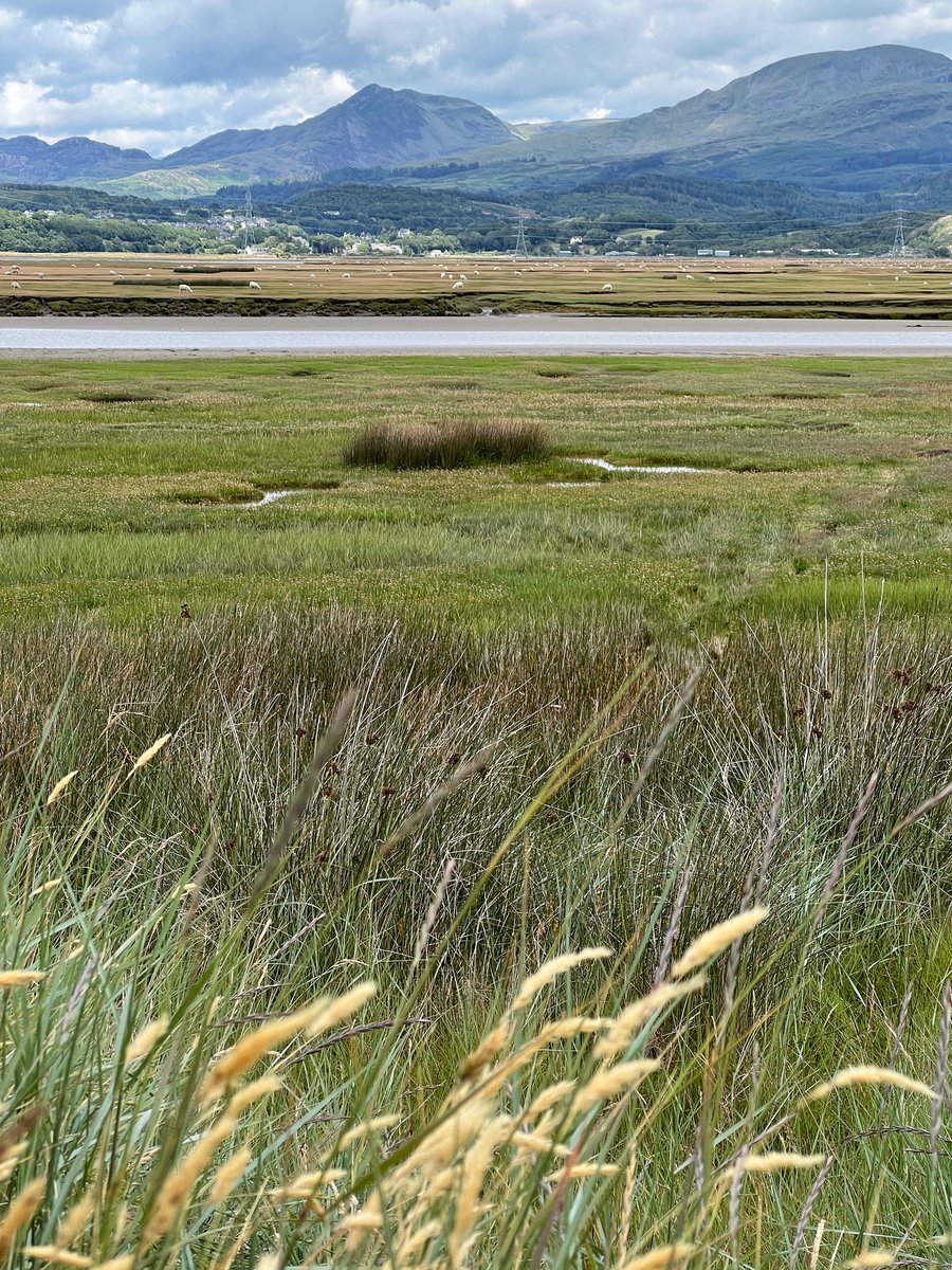 Sarah Parry tweet media