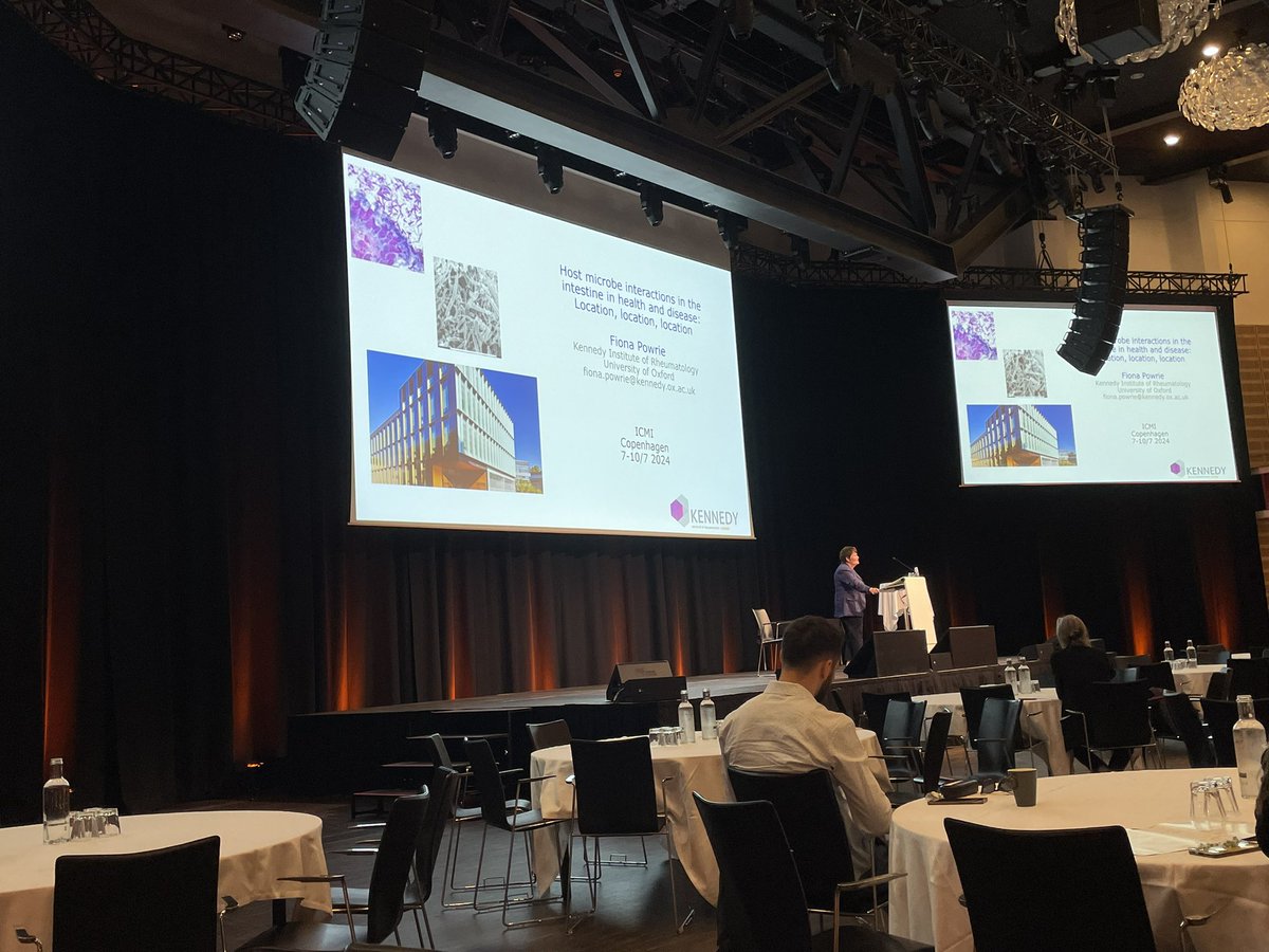 Kevin Jay Mercurio tweet media