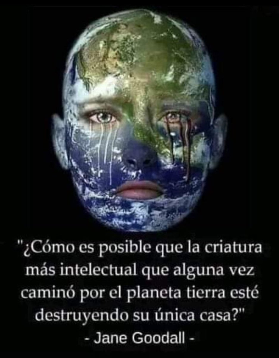 Si algo es imposible de entender, es como nuestro egoísmo, valemadrismo, e irresponsabilidad ha provocado y sigue provocando la destrucción de la única casa que tenemos la humanidad. 
Dudo mucho aquello “del ser más inteligente”.
Actuamos como suicidas.