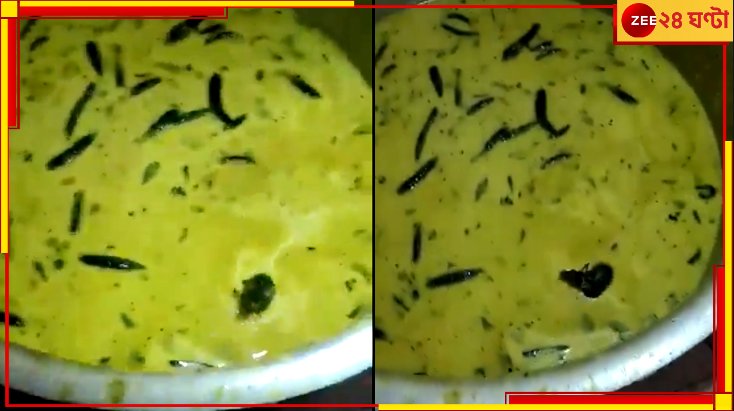 Zee24Ghanta's tweet photo. হস্টেলের খাবারে সাঁতার কাটছে জলজ্যান্ত ইঁদুর! রাগ-ঘেন্নায় বুক ফাটছে পড়ুয়াদের...

সবিস্তারে:https://t.co/87XbVj0S6P

#hostlefood #ratinfood #zee24ghanta https://t.co/siEdPijfmS