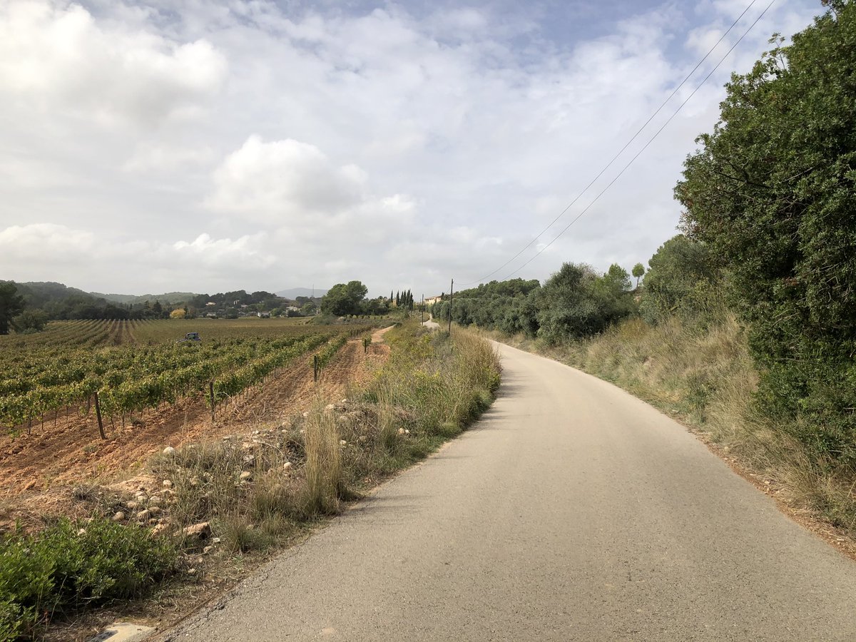 portsnbicicleta's tweet photo. 🚵🏼 Coll de Mata (505 m) #anoia 🏡🌳 des des del Riu Anoia venint de Sant Jaume Sesoliveres: 11,5 km al 3,0% (màx. 12%); 347 m desnivell; 🔗 https://t.co/Fv98Ig6zCq #portsenbicicleta #cicloturisme #colldemata #santjaumesesoliveres #canaletes https://t.co/1rENV4G4wz