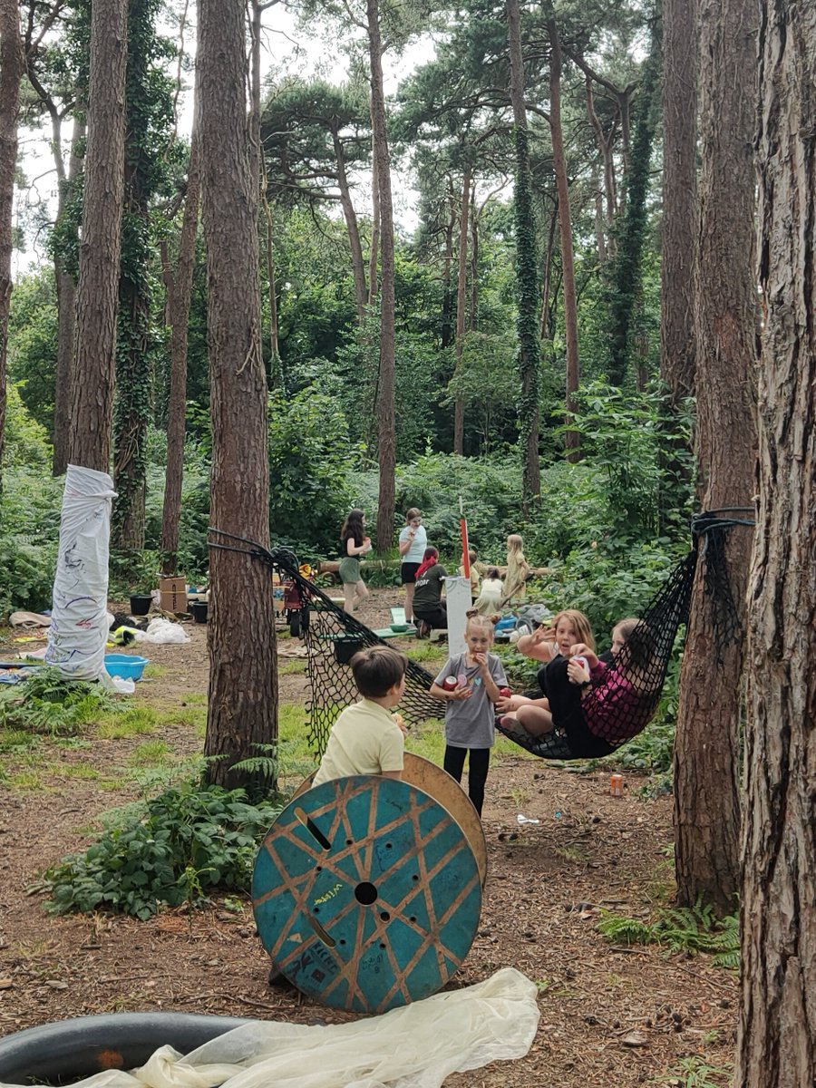 Woodland Routes to Wellbeing tweet media