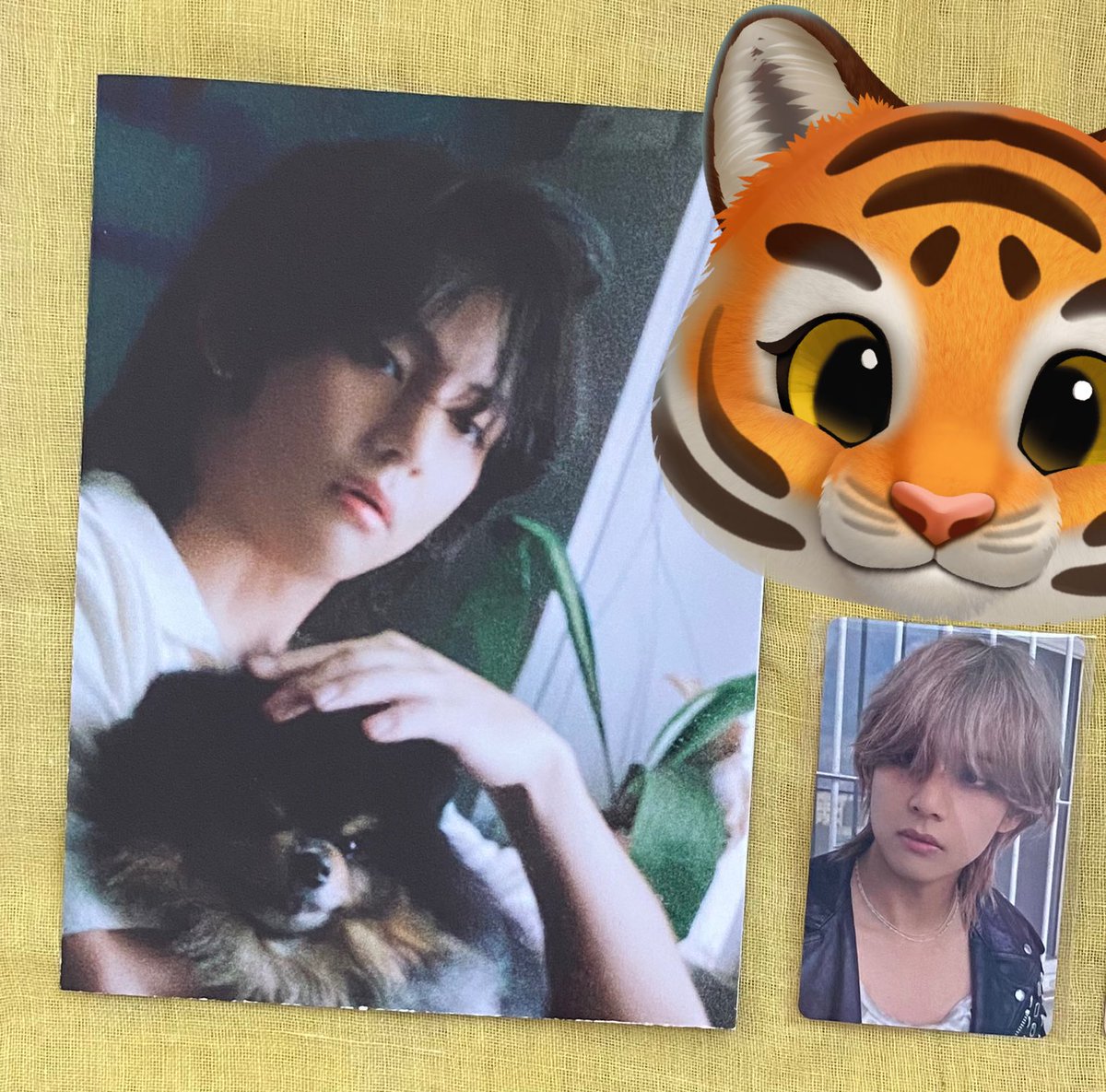 Bts taehyung satış 
Layover jpfc + poster 650 
Hasarsızlar 

<a href="/BTSARMYtakas/">BTS ARMY Takas / Satış</a> <a href="/bangtansatis/">bighit s&t</a> <a href="/bangtanselltr/">BTS⁷ takas & satış</a> <a href="/btsguncelsatis/">BTS GÜNCEL SATIŞ / TAKAS ⁷</a> <a href="/btsatistakas/">Bts Takas & Satış 💒</a>
