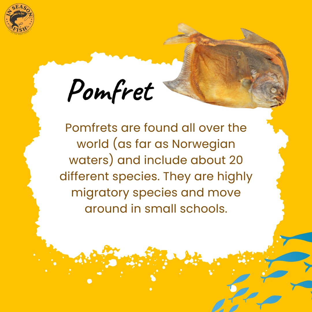 InSeasonFish's tweet image. Time to read some interesting facts about few of the much loved fish species that are #InSeason in July along both Indian coasts!

#GreatBarracuda #Bombayduck #pomfret #facts #fish #sustainable #fishing #seasonal #facts #fishy #Indian
