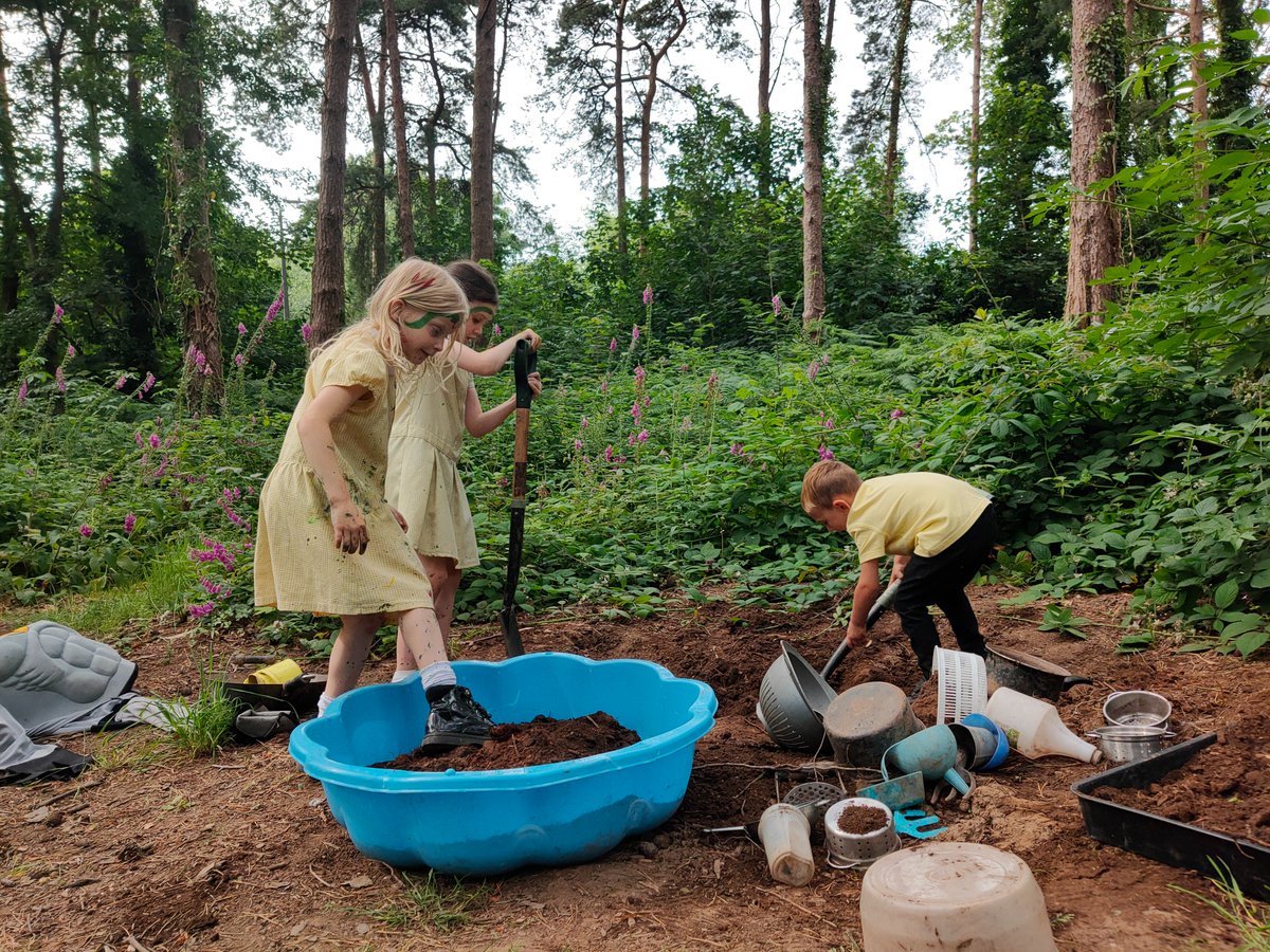 Woodland Routes to Wellbeing tweet media