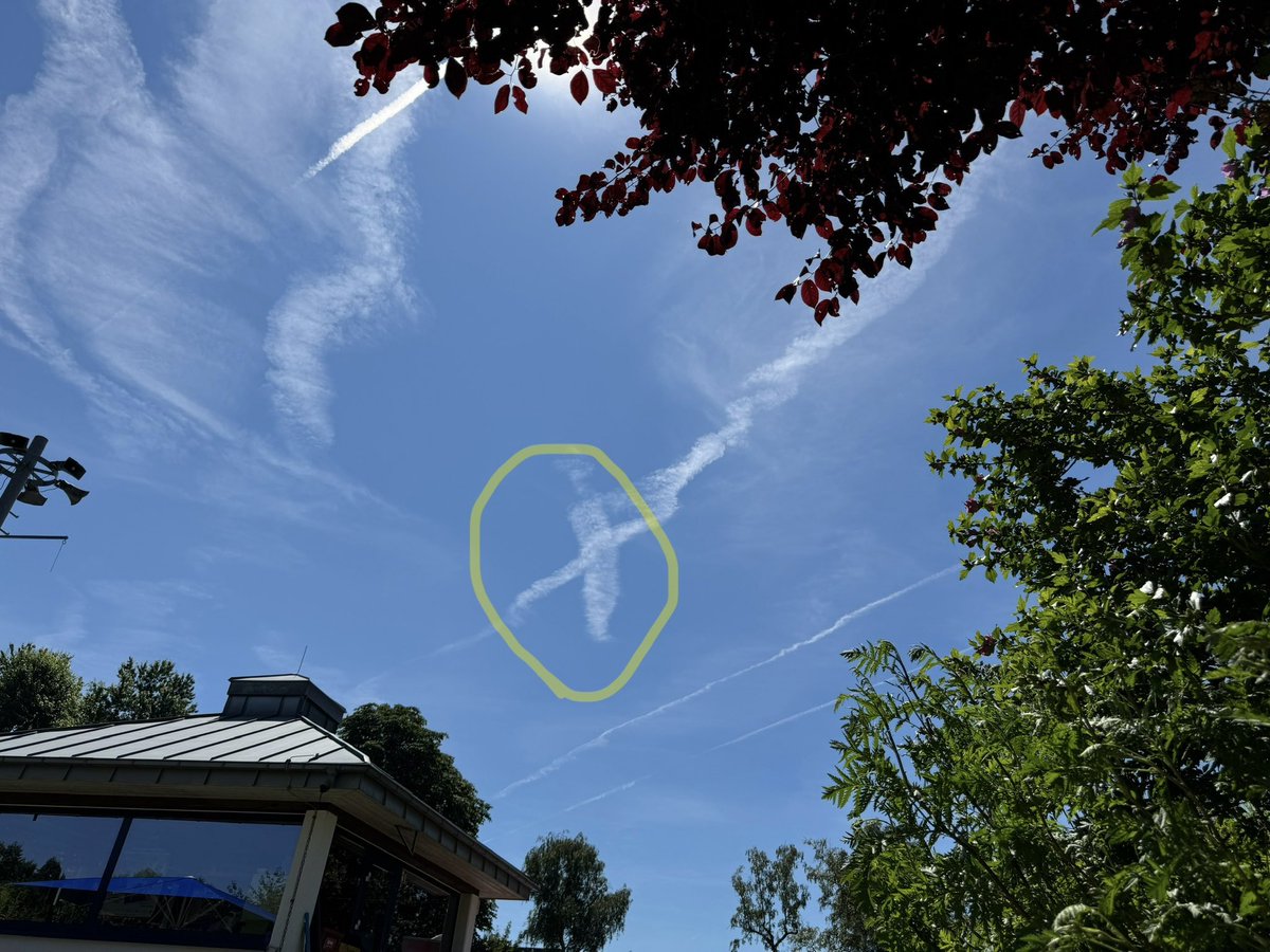 mr.nobody tweet media