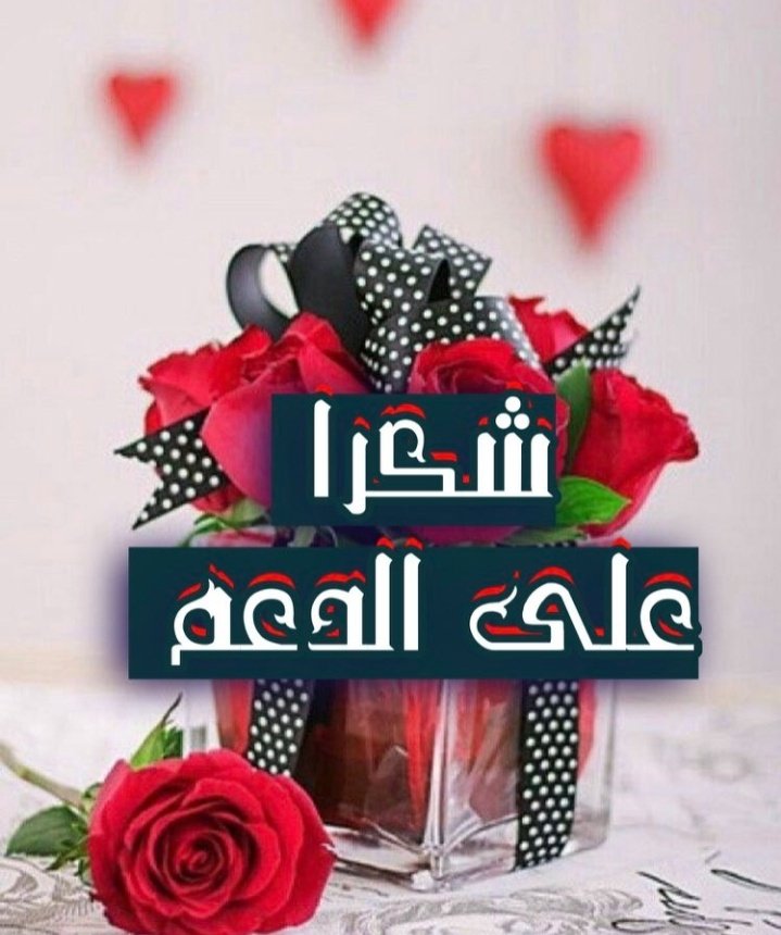 🎸αвυ ηαιƒ tweet media