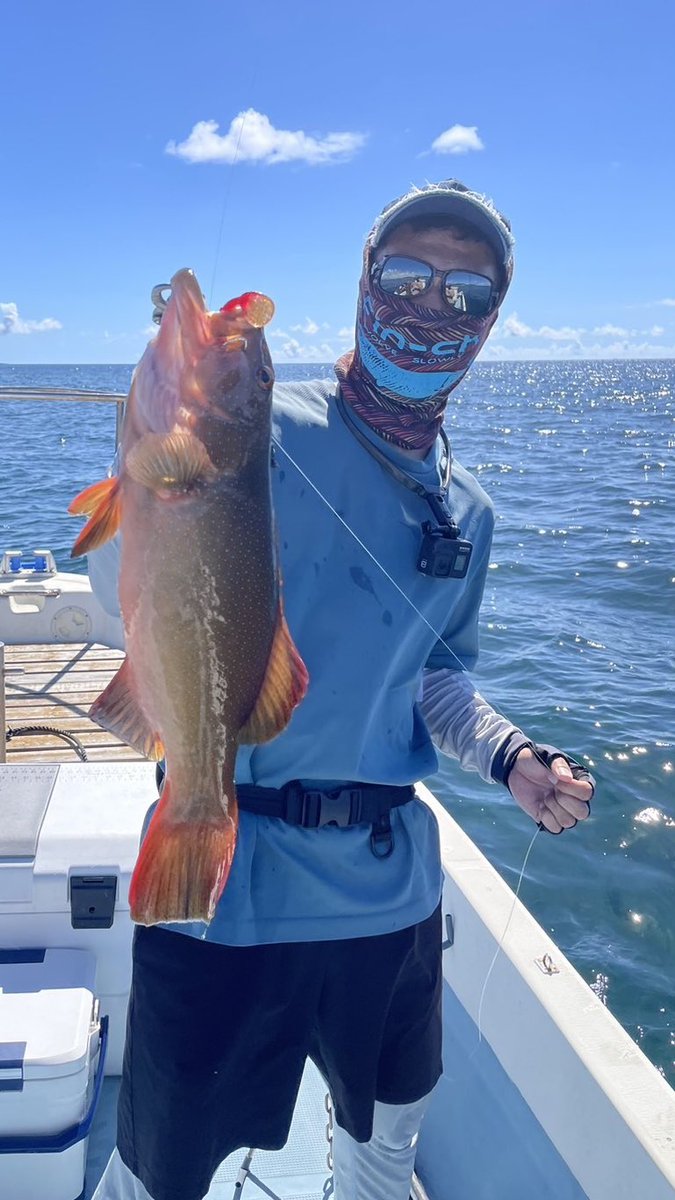 mrturizanmai's tweet photo. シャローアカジンを筆頭にレアな魚が釣れました🐟
#voodoo78 #ブードゥー78 #スジアラ #イノーアカジン #ハナフエフキ #アオノメハタ https://t.co/25qEw1G6KB