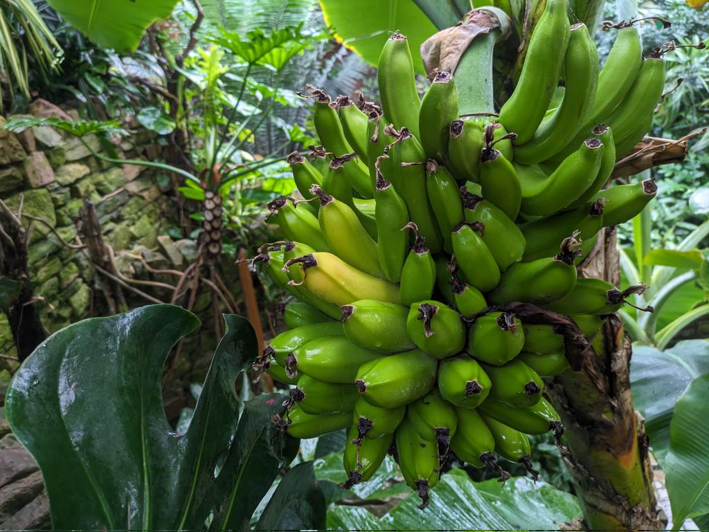 Hayley Thurrat tweet media