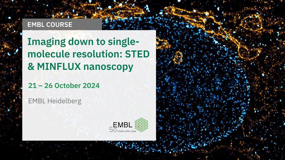 Do you want to deepen your knowledge of super-resolution microscopy methods? This is your chance to do so! #EMBLSTED_MINFLUX

🛎️ Apply by July 29
🔗 s.embl.org/eic24-01
📅 21 – 26 October 2024
📍 EMBL Heidelberg

Learn all about Stimulated Emission Depletion (STED) and