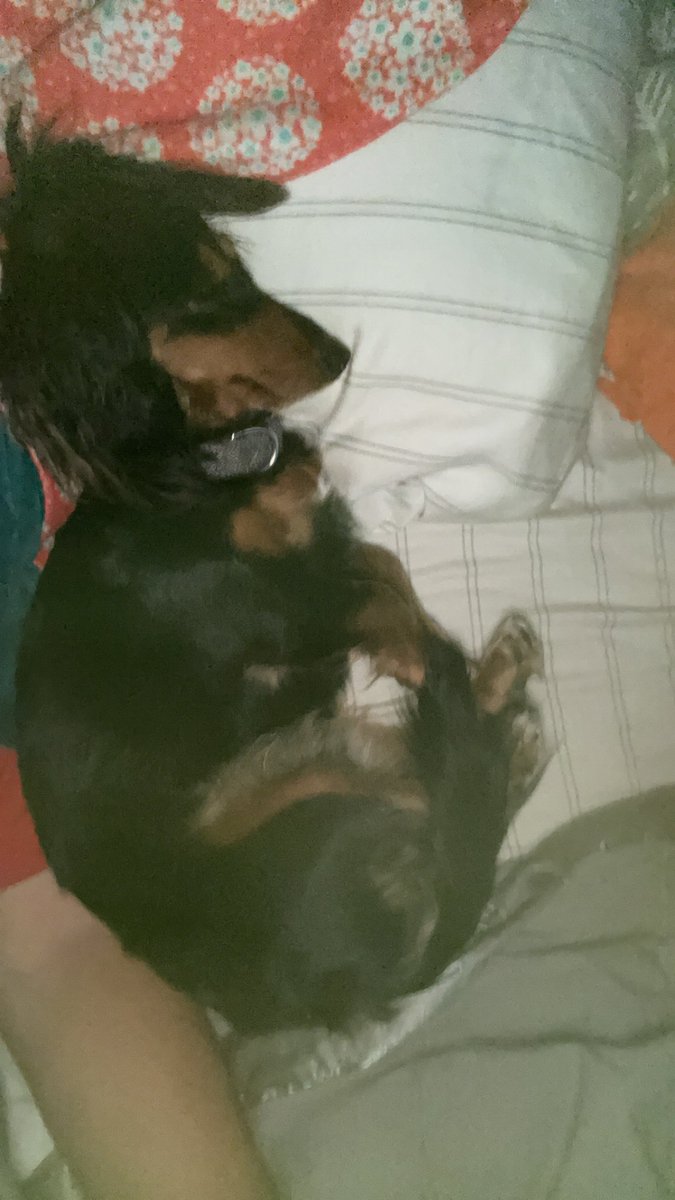 @mymarinafanpage tweet media