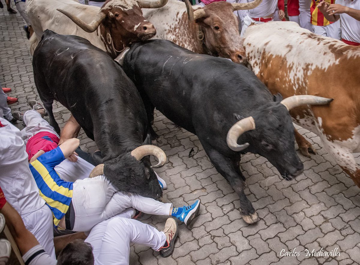 Sanfermin tweet media