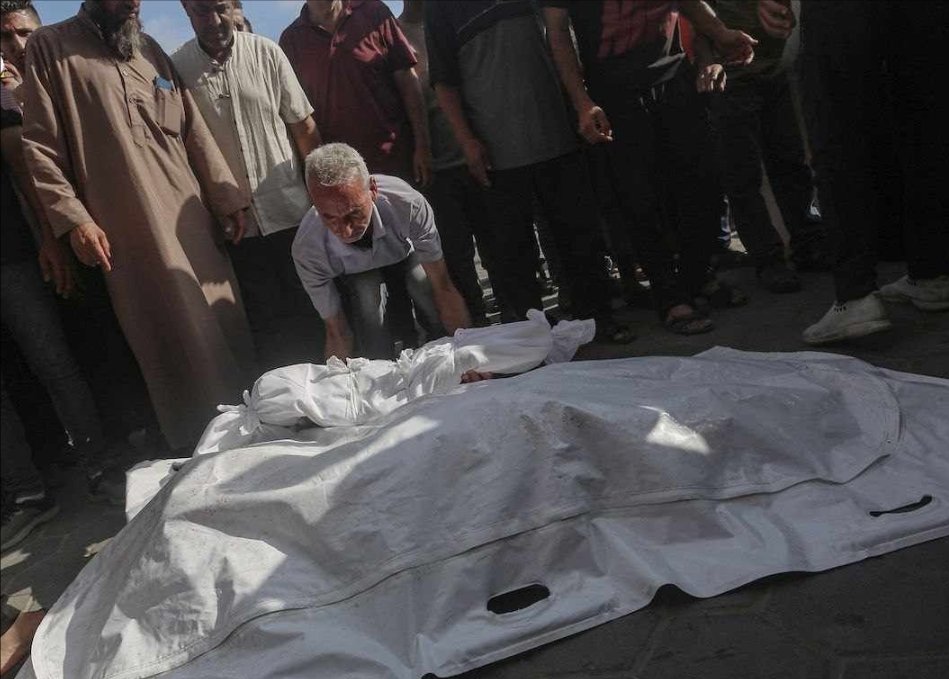 TIMES OF GAZA tweet media