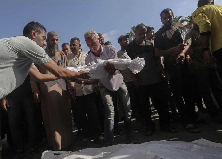 TIMES OF GAZA tweet media