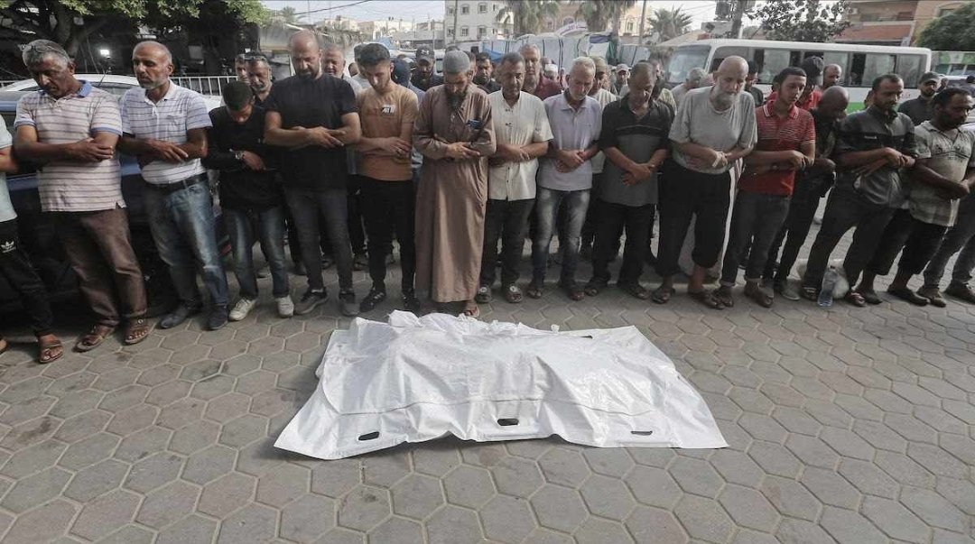 TIMES OF GAZA tweet media
